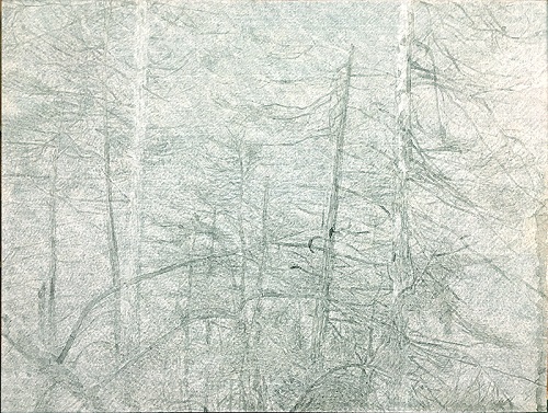 曹轶，黑森林No.3,149x198cm，纸本丙烯，2018 .jpg