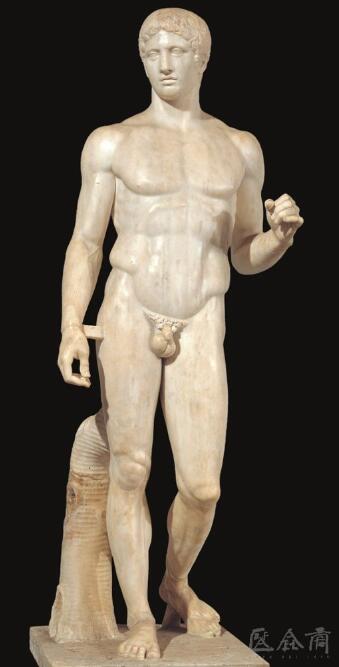 公元前450年左右，希腊黄金时代的雕塑家波留克列特斯创作的站立裸体男子.jpg