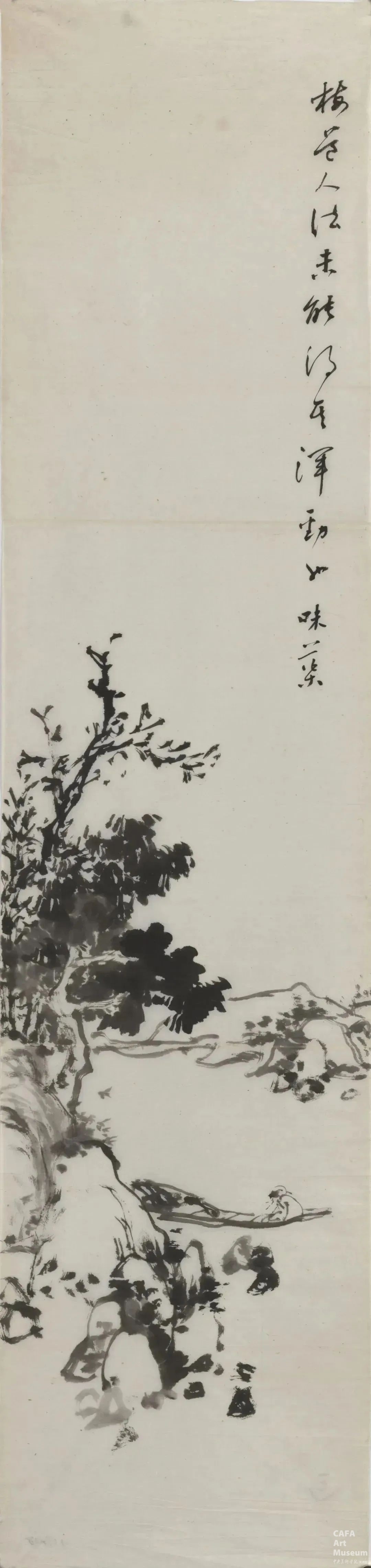 1741675409946892.jpg