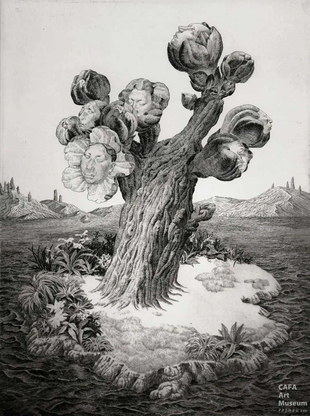 1747015243605589.jpg