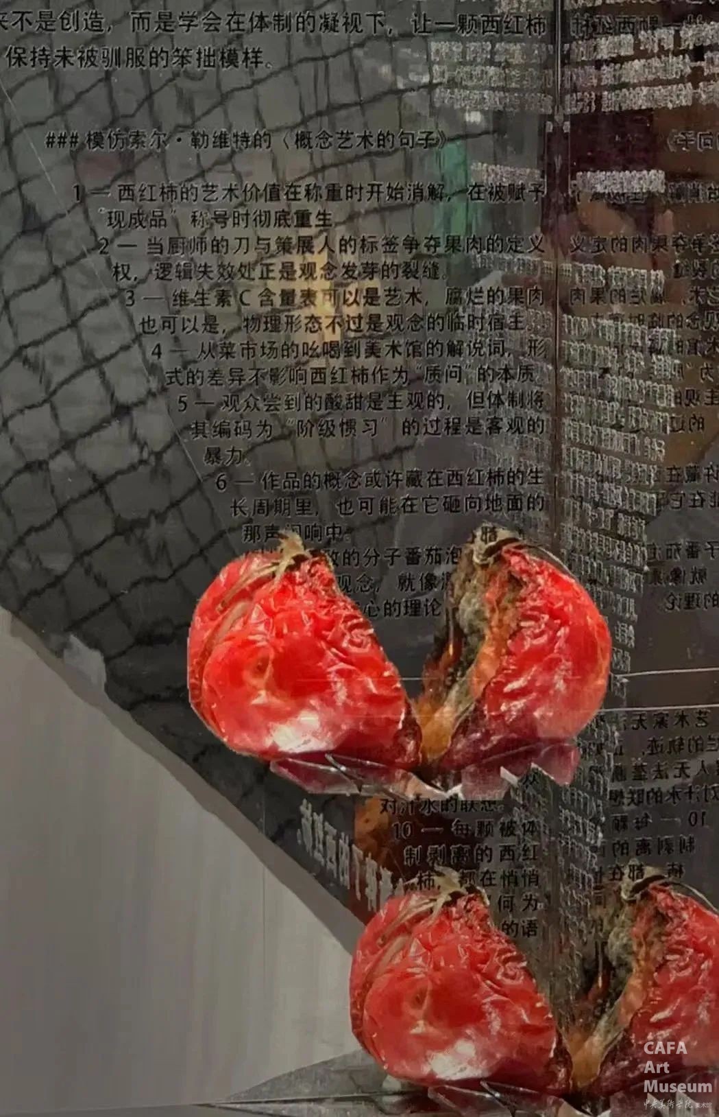 1747325110577906.jpg