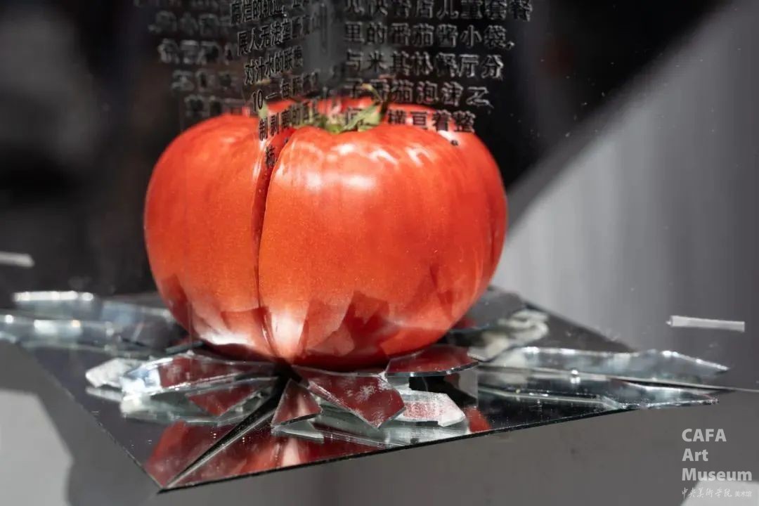 1747325133664900.jpg