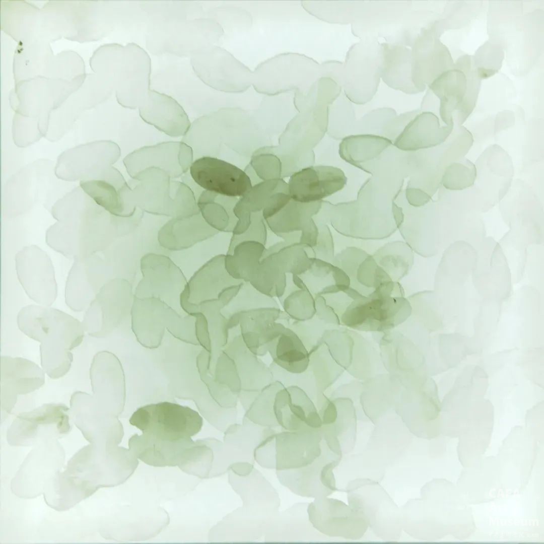 1750648108953705.jpg