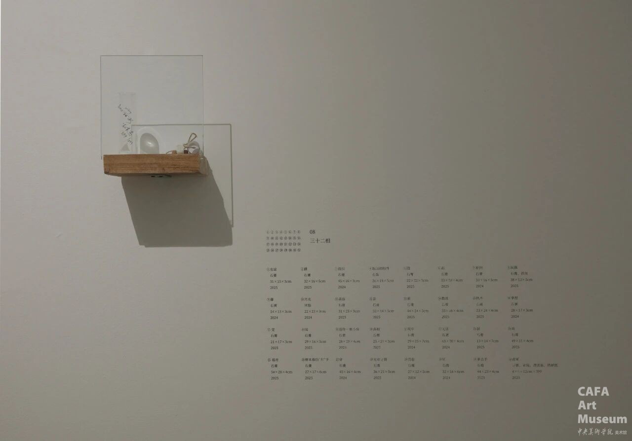 1761017039749187.jpg