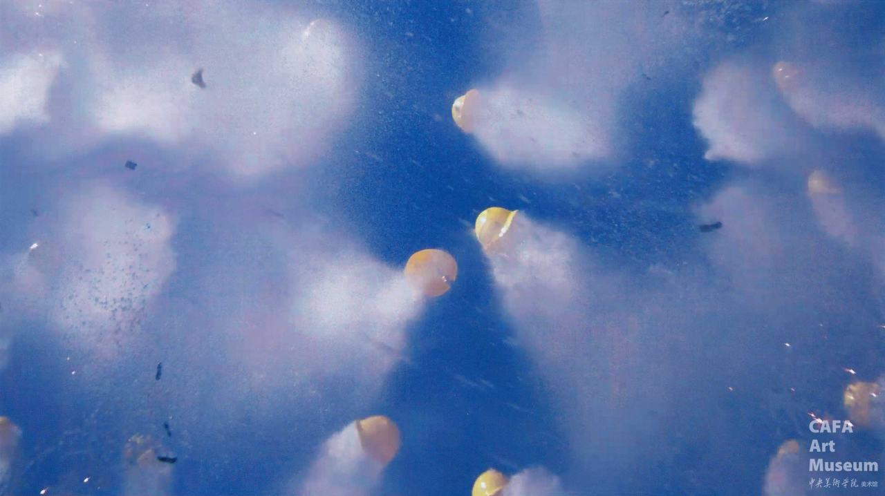 1762399295220923.png 1762399295220923.png