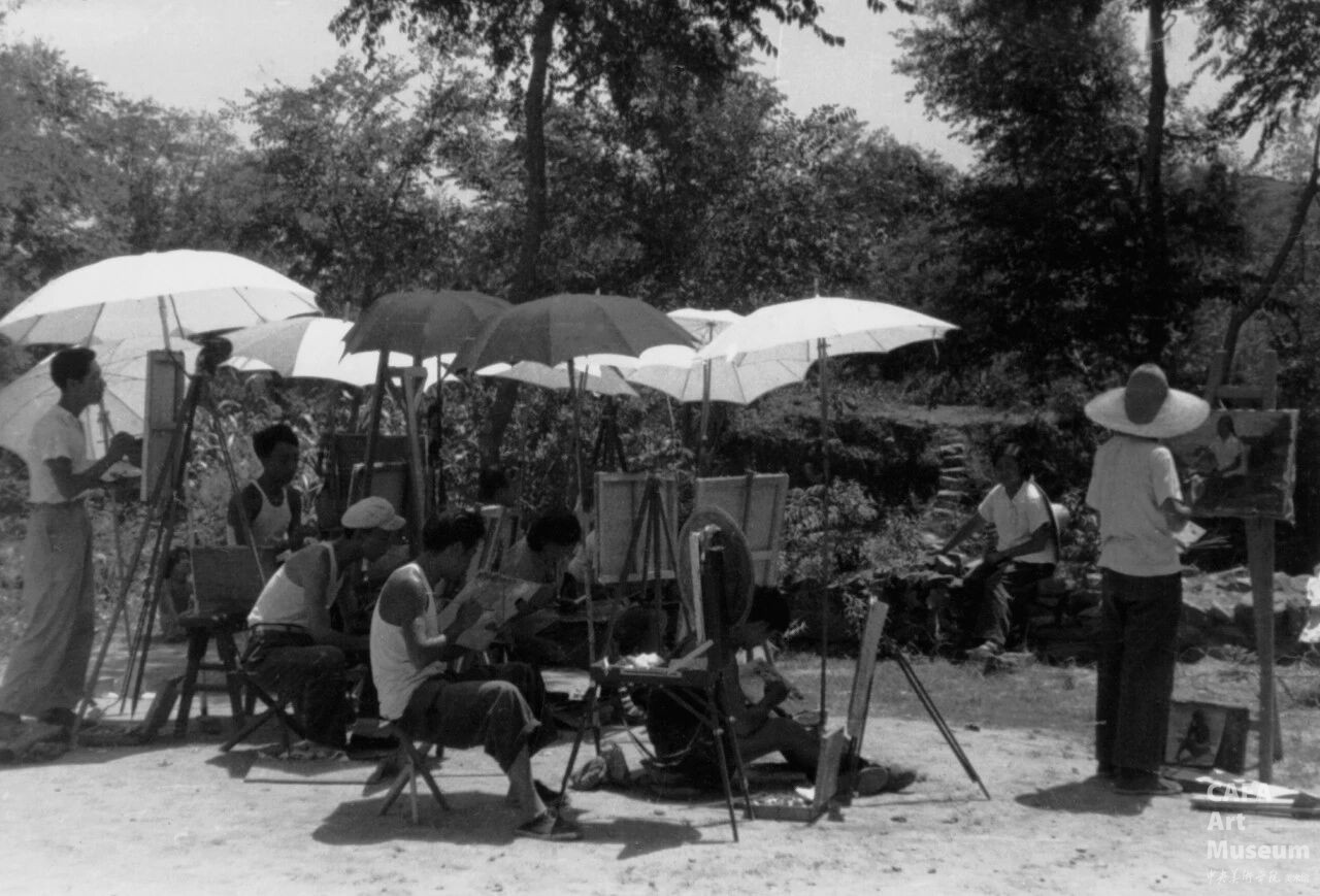 1763020032933544.jpg 1763020032933544.jpg