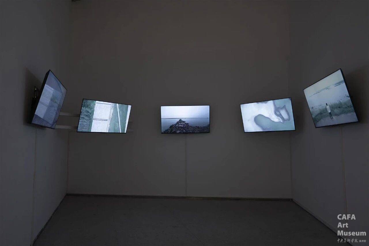 1763954794876264.jpg 1763954794876264.jpg