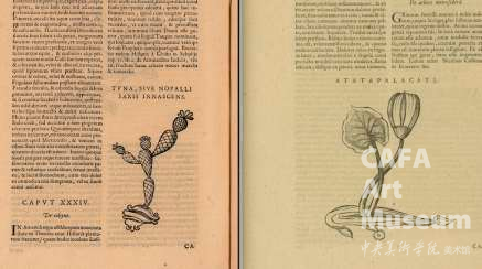 1764840259938472.png https://static.cafamuseum.org/museum-image/image/202512/sy_1764840259938472.png