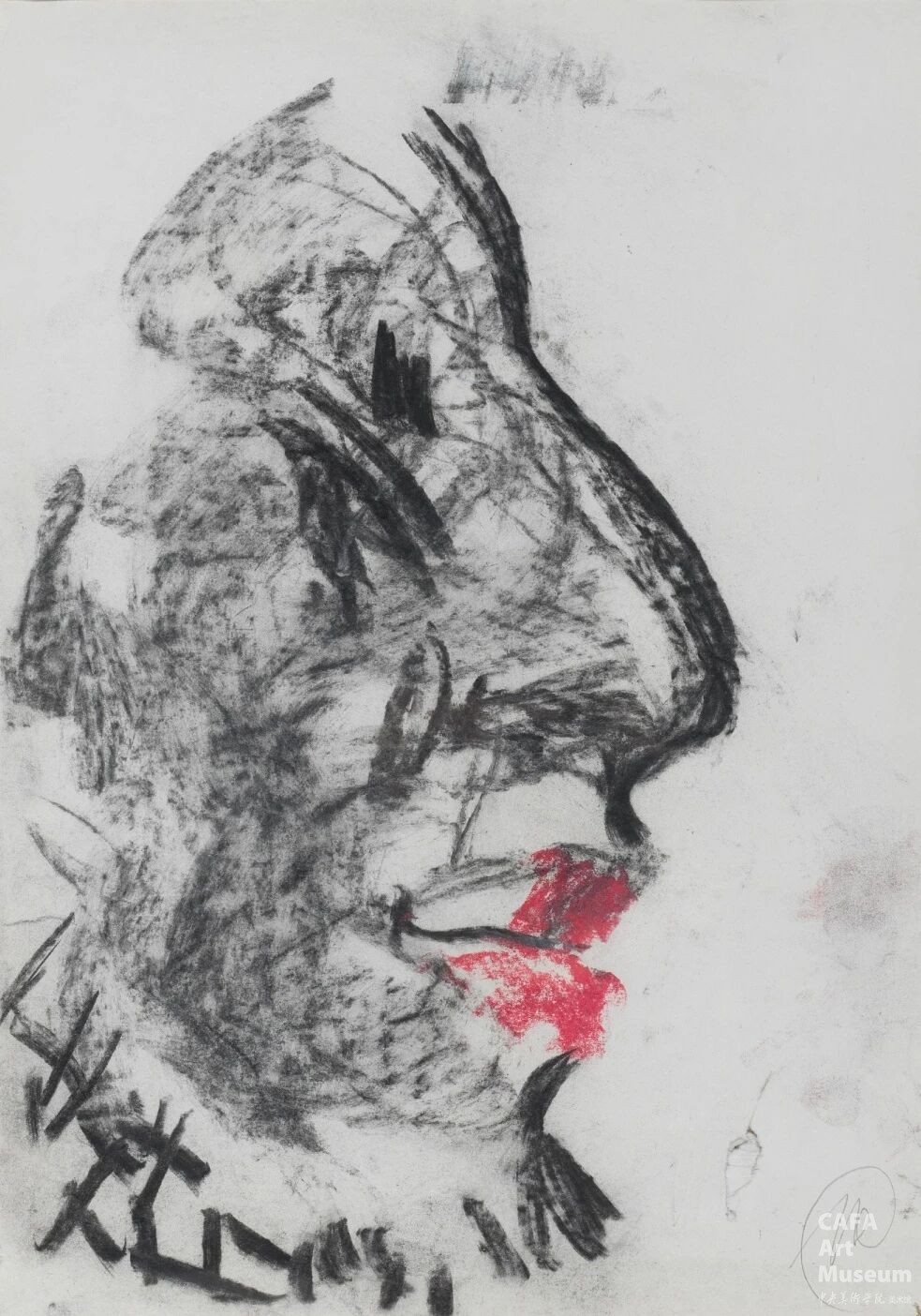 1764900505941257.jpg 1764900505941257.jpg