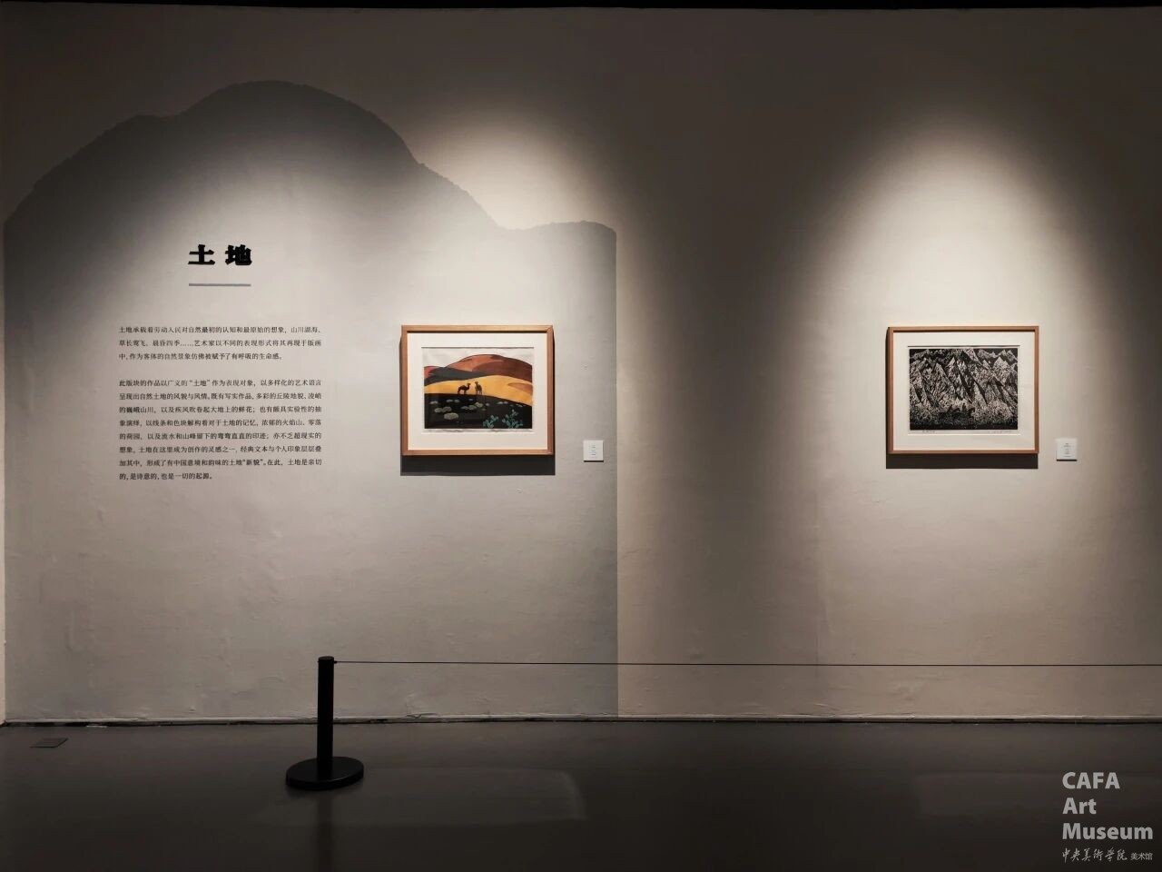 1770016184384793.jpg 1770016184384793.jpg