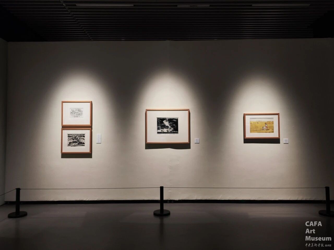 1770016279206764.jpg 1770016279206764.jpg