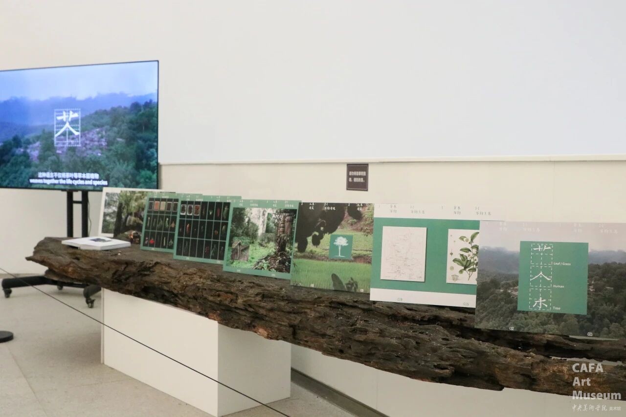 1772436675910805.jpg 1772436675910805.jpg