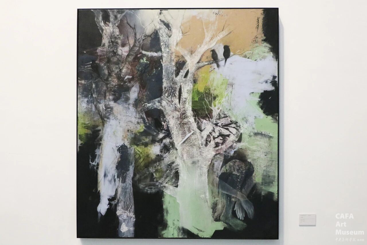 1772436693892939.jpg 1772436693892939.jpg