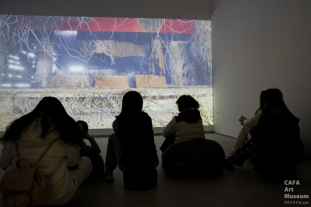 1772437007182228.jpg 1772437007182228.jpg