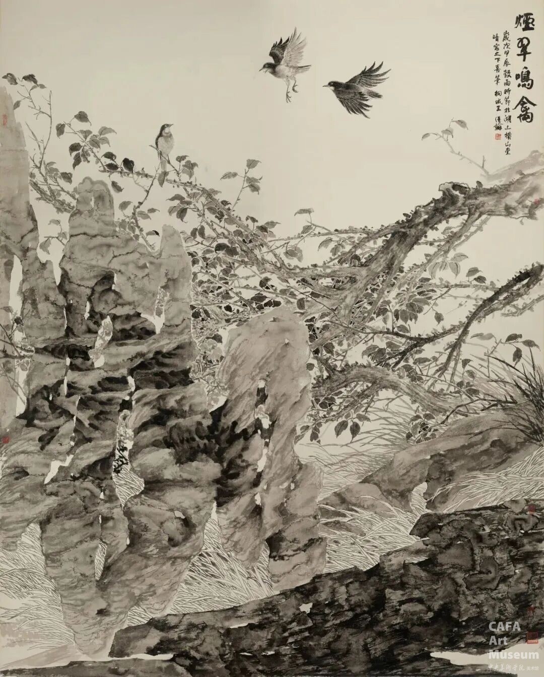 1778125323844573.jpg