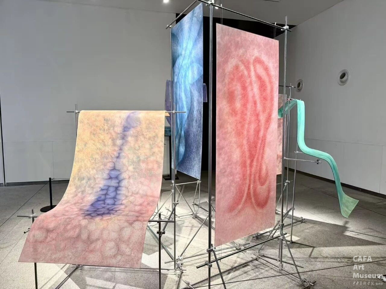 1780973054919674.jpg