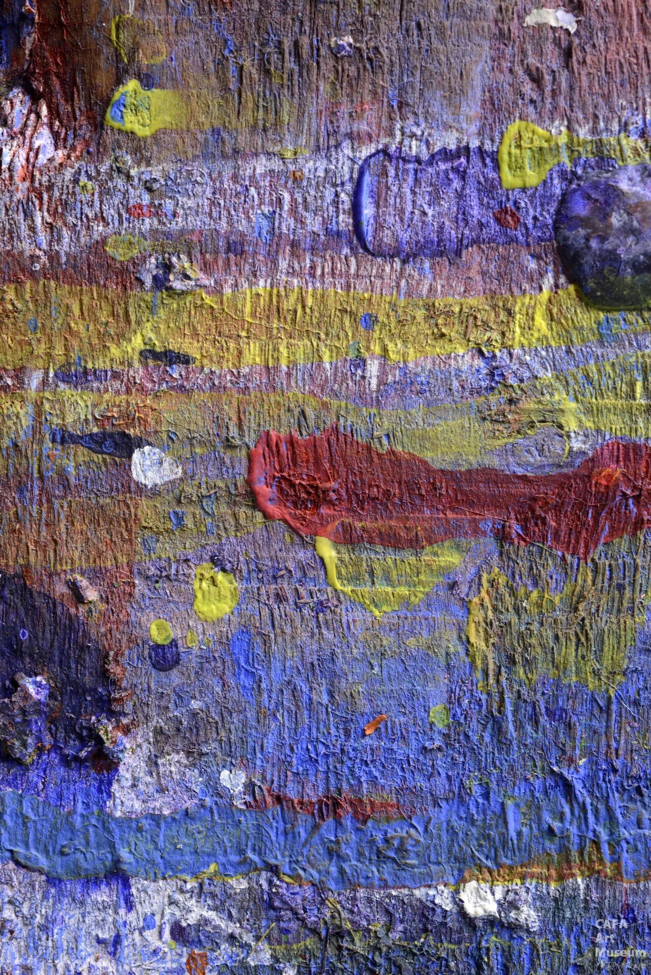 1787882216367968.jpg
