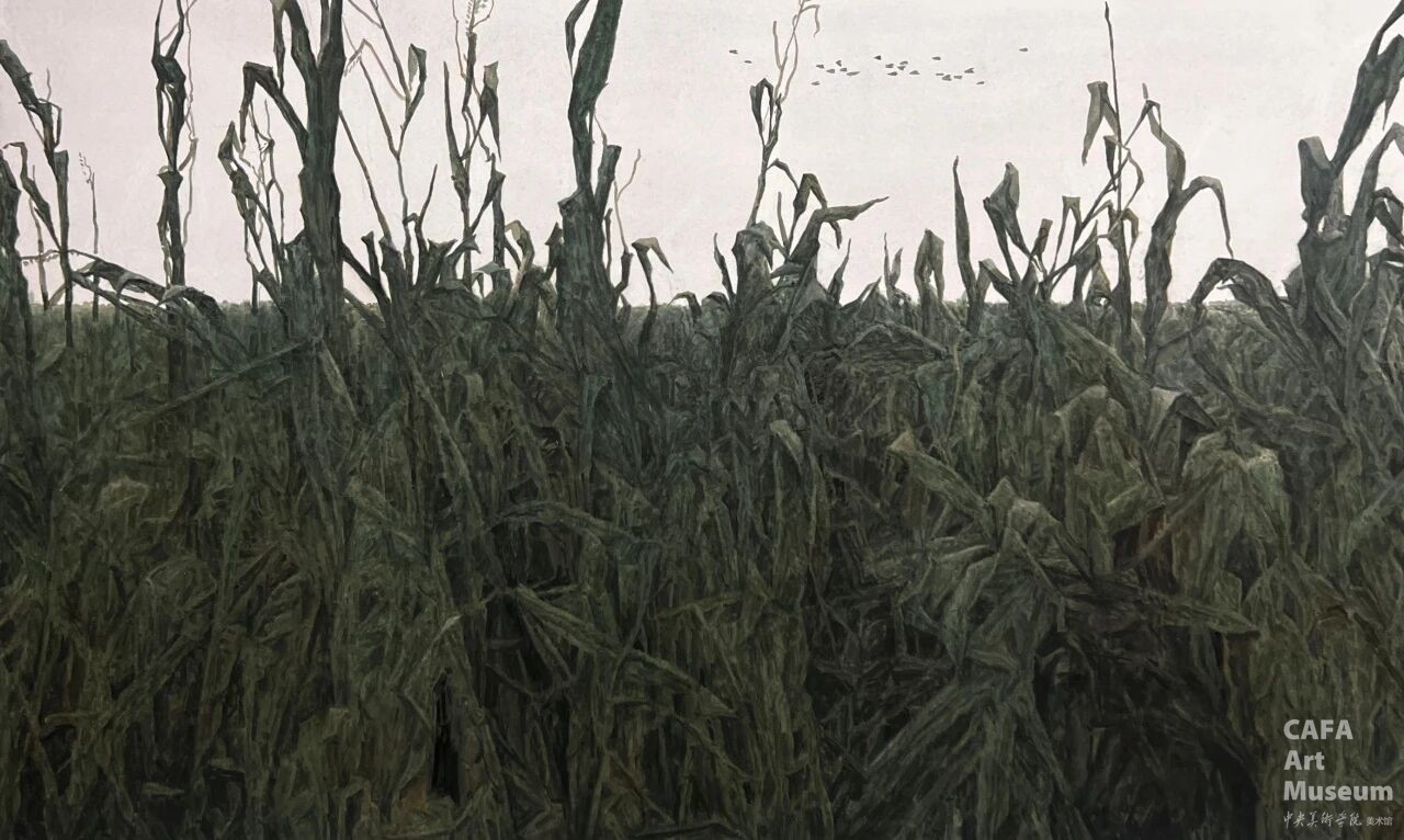 1789028975154570.jpg 1789028975154570.jpg